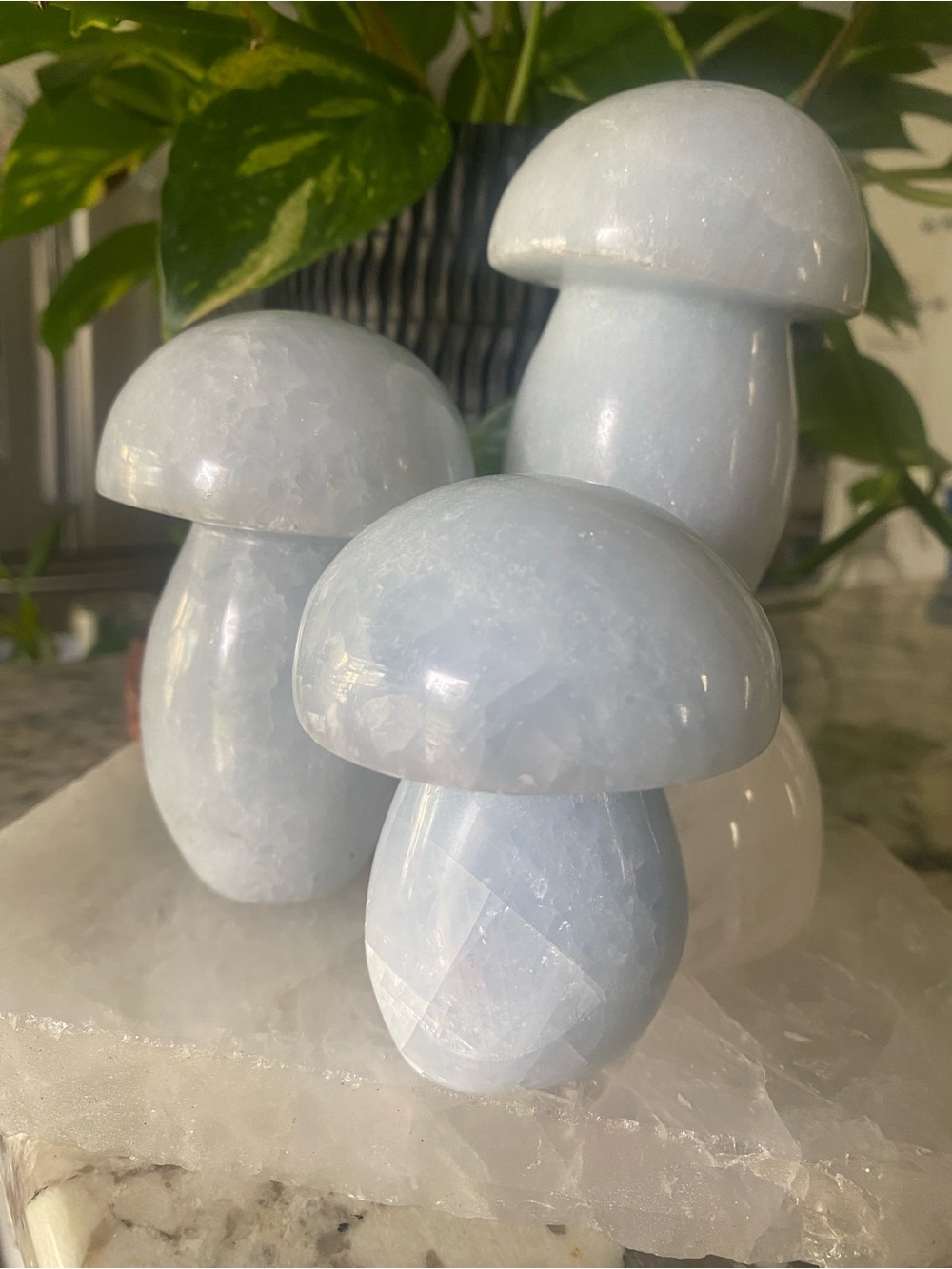 🍄☁️ Blue Celestite Crystal Mushroom – A Little Mushroom Magic! ☁️🍄